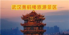 要看操逼